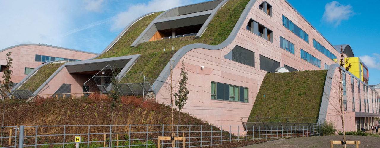 Disciplines | Green Roof Systems